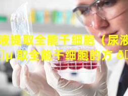 尿液提取全能干细胞（尿液提 🐵 取全能干细胞的方 🦅 法）
